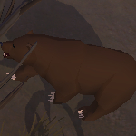 Bärenfell