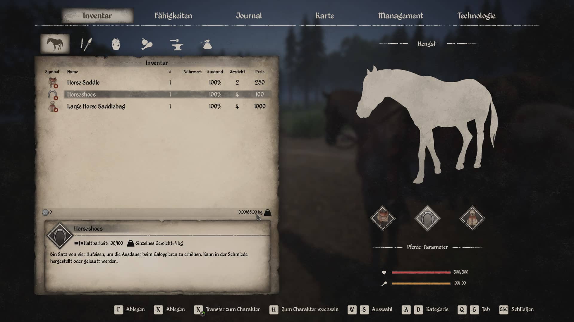 Pferd besteigt frau